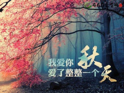 写秋天的景色作文300字