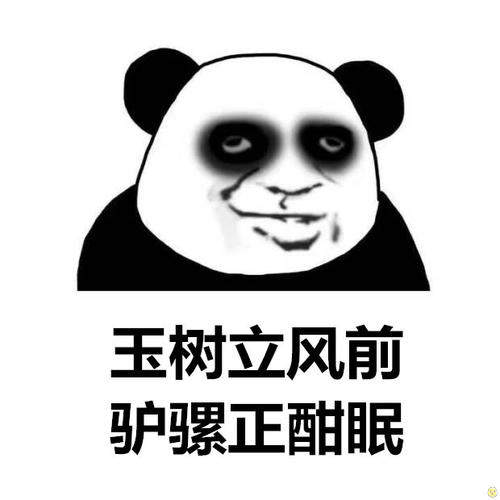 熊猫头打气筒表情包