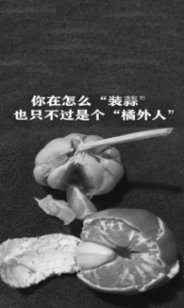 要学橘子,为了合群,要会"装蒜",要不就是橘外人(谐音局外人,不合群的