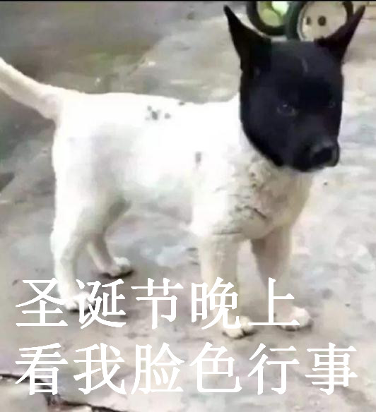 圣诞节平安夜看我脸色行事表情包图片
