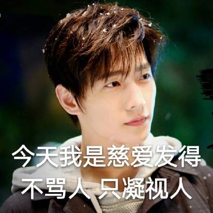 全职高手杨洋表情包带字动态图片