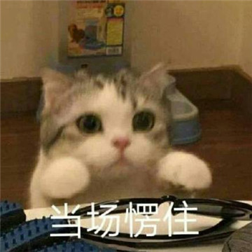 拿筷子愣住的表情包