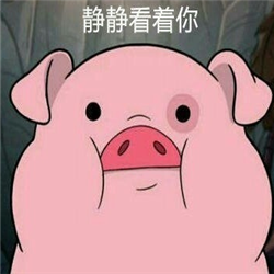 粉红猪表情包带字图片(卡通高清)